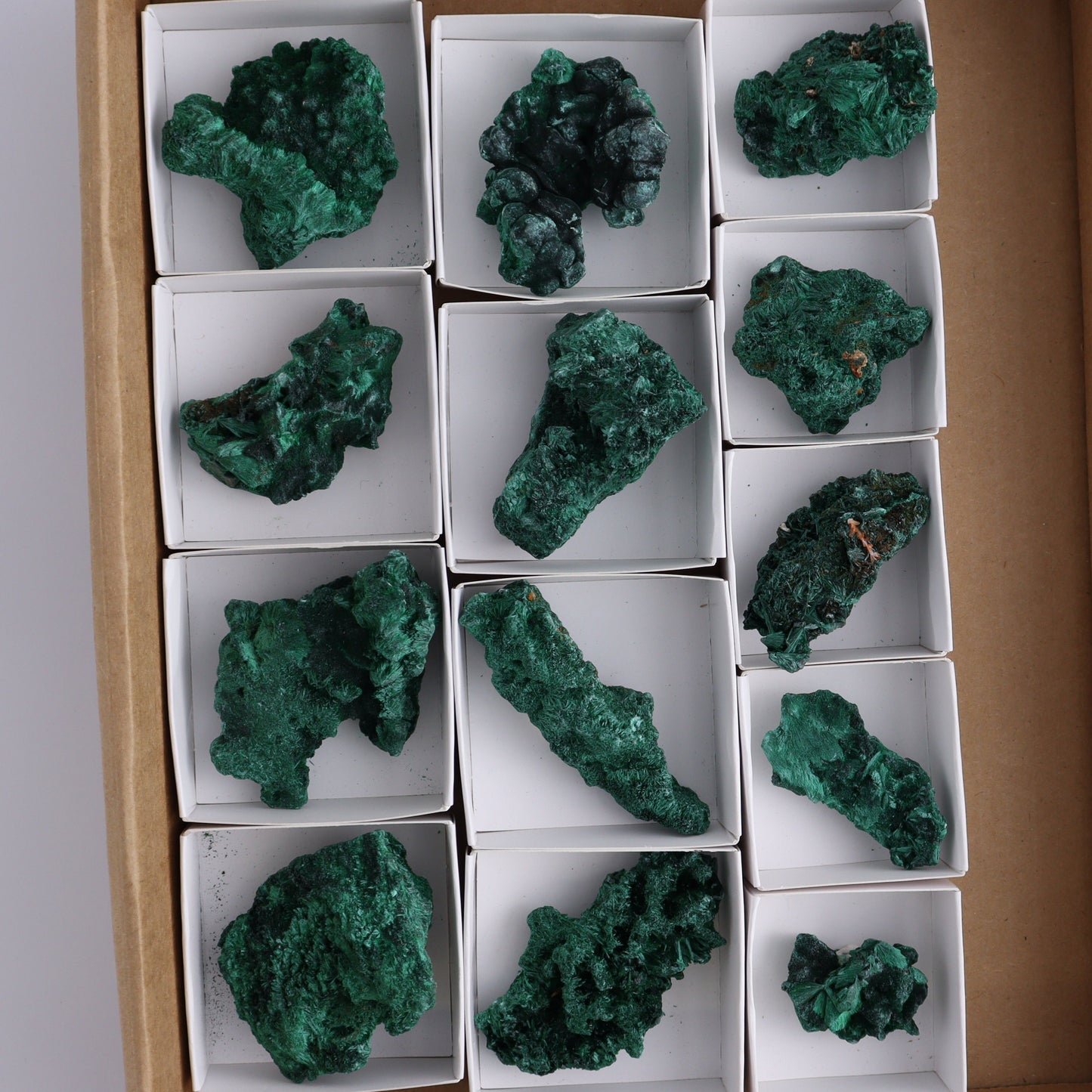 Malachite Freeforms Set of 13 - Expert Wholesale and Supplier of Wholesale Crystals & Bulk Gemstones, ["Freeform","Malachite","South Africa"]