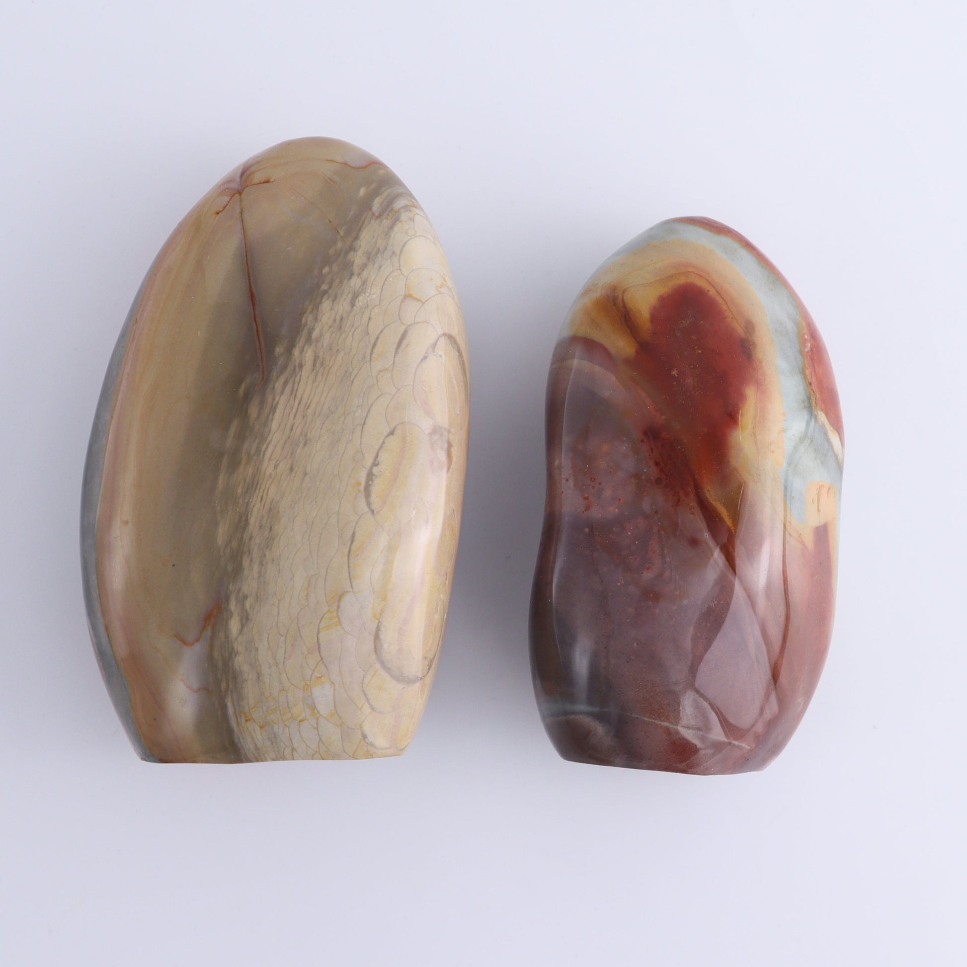Polychrome Jasper Freeforms Set of 5 - Expert Wholesale and Supplier of Wholesale Crystals & Bulk Gemstones, ["jasper","Madagascar","Polychrome Jasper"]