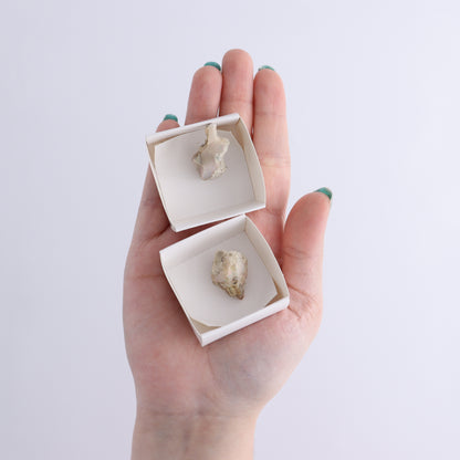 Ethiopian Opal Set of 24 - Expert Wholesale and Supplier of Wholesale Crystals & Bulk Gemstones, ["Ethiopia","ethiopian opal","Opal"]