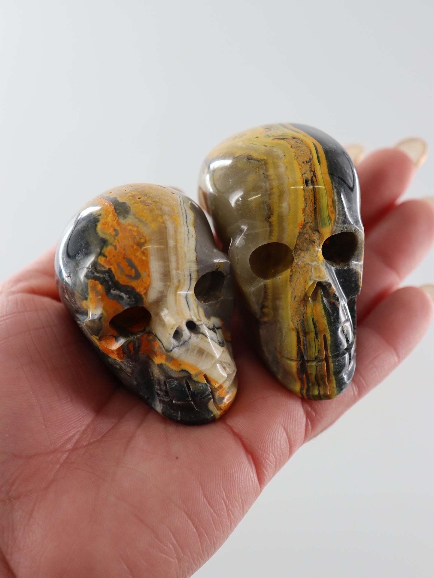 Bumblebee Jasper Skulls Set of 5 - Expert Wholesale and Supplier of Wholesale Crystals & Bulk Gemstones, []