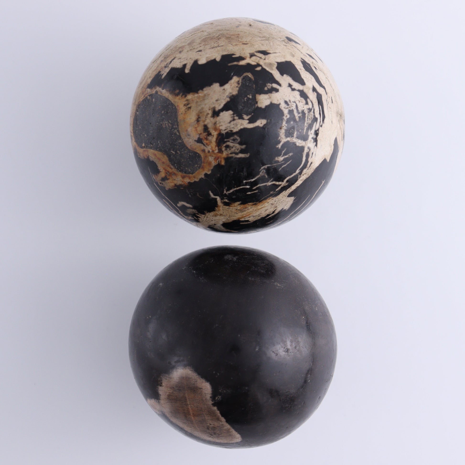 Petrified Wood Spheres Set of 4 - Expert Wholesale and Supplier of Wholesale Crystals & Bulk Gemstones, ["Indonesia","Petrified Wood","Spheres"]