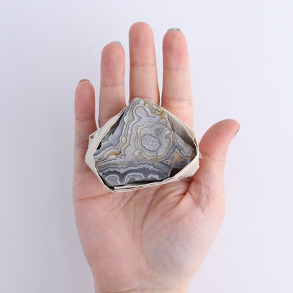 Crazy Lace Agate Flat of 17
