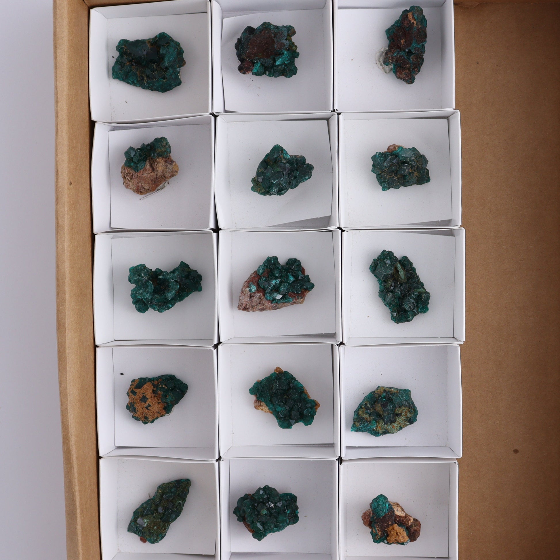 Dioptase Set of 15 - Expert Wholesale and Supplier of Wholesale Crystals & Bulk Gemstones, ["dioptase","Freeform","Freeforms"]