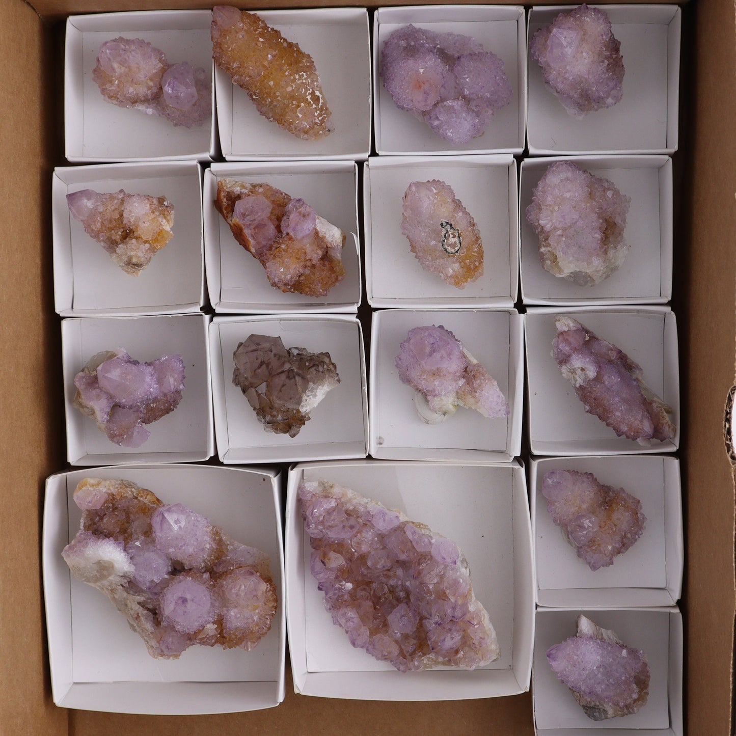 Cactus Quartz Set of 16 - Expert Wholesale and Supplier of Wholesale Crystals & Bulk Gemstones, ["cactus quartz","Quartz","South Africa"]