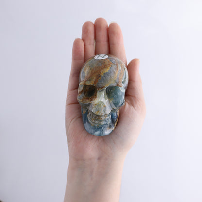 Onyx Skulls Set of 4 - Expert Wholesale and Supplier of Wholesale Crystals & Bulk Gemstones, ["Mexico","onyx","Skulls"]