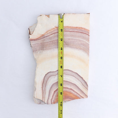 Rhyolite Slabs Set of 2