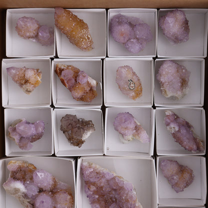 Cactus Quartz Set of 16 - Expert Wholesale and Supplier of Wholesale Crystals & Bulk Gemstones, ["cactus quartz","Quartz","South Africa"]