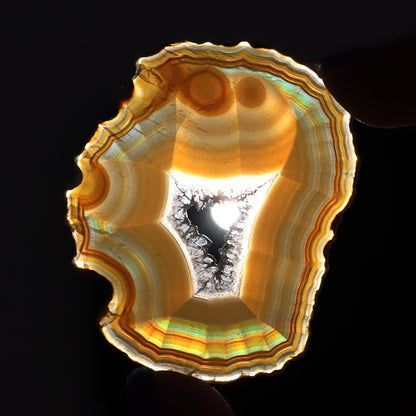 Iris Agate Slices Set of 8 - Expert Wholesale and Supplier of Wholesale Crystals & Bulk Gemstones, ["Agate","Iris Agate","Slices and Slabs"]