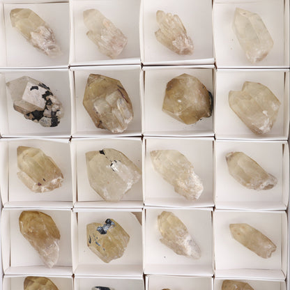 Congo Citrine Set of 24