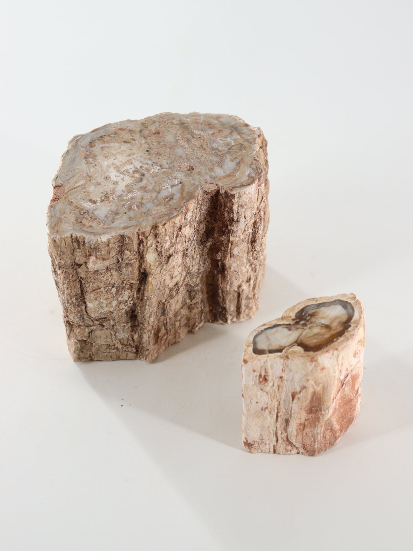 Petrified Wood Logs Set of 2 - Expert Supplier of Wholesale Crystals & Bulk Gemstones