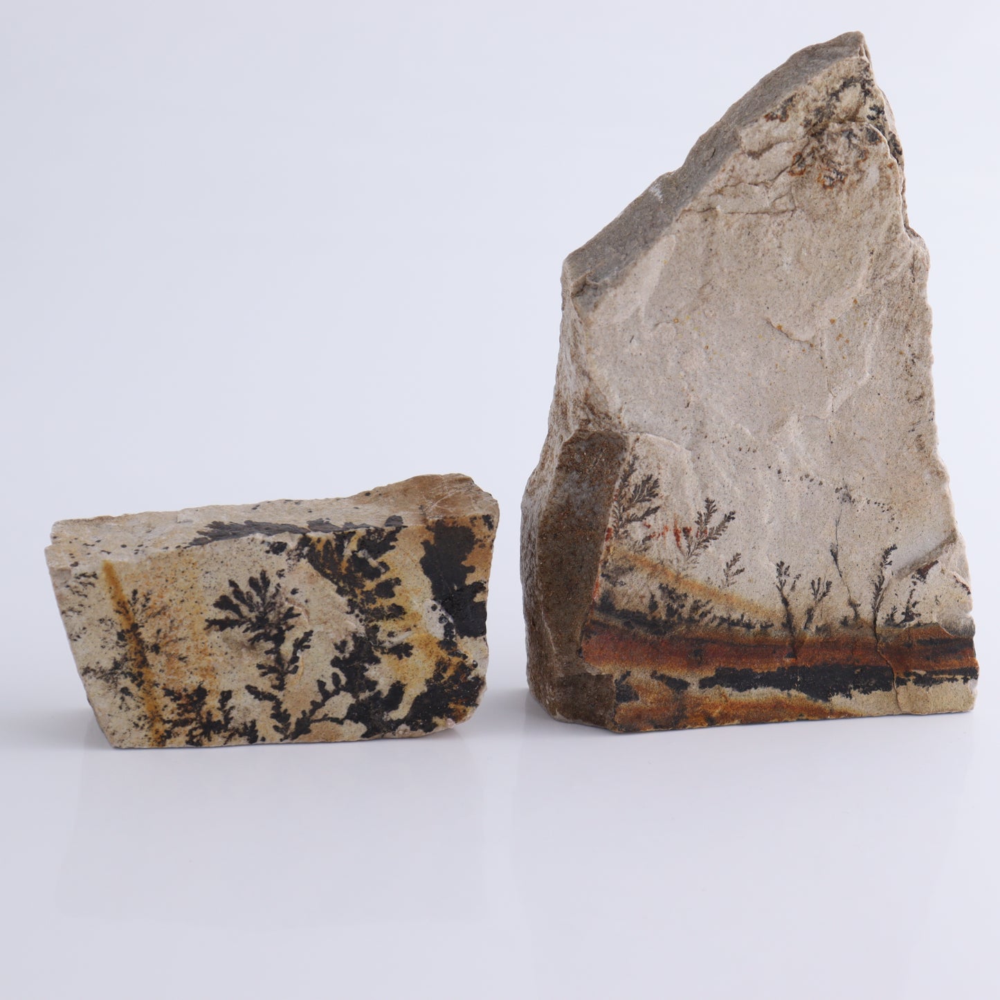 Dendrites Flat Set of 6 - Expert Wholesale and Supplier of Wholesale Crystals & Bulk Gemstones, ["Dendrite","Flats"]