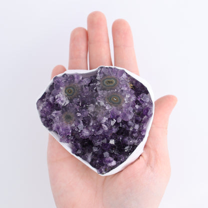 Uruguay Amethyst Clusters with "Eyes" Flat of 10 - Expert Wholesale and Supplier of Wholesale Crystals & Bulk Gemstones, ["Amethyst","Amethyst Eyes","Clusters","Uruguay"]