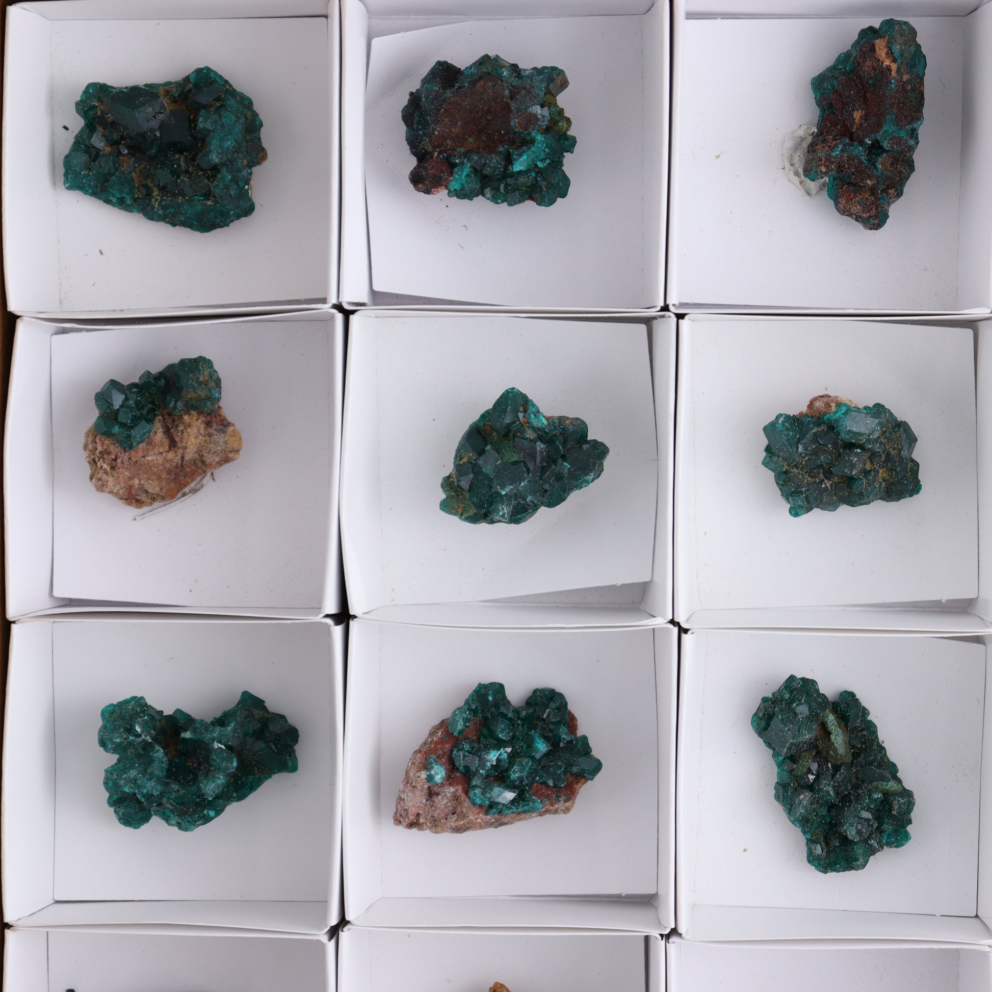Dioptase Set of 15 - Expert Wholesale and Supplier of Wholesale Crystals & Bulk Gemstones, ["dioptase","Freeform","Freeforms"]