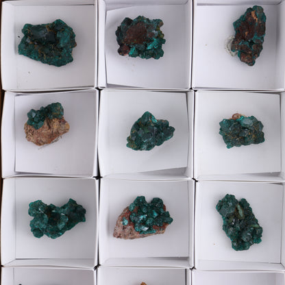 Dioptase Set of 15 - Expert Wholesale and Supplier of Wholesale Crystals & Bulk Gemstones, ["dioptase","Freeform","Freeforms"]