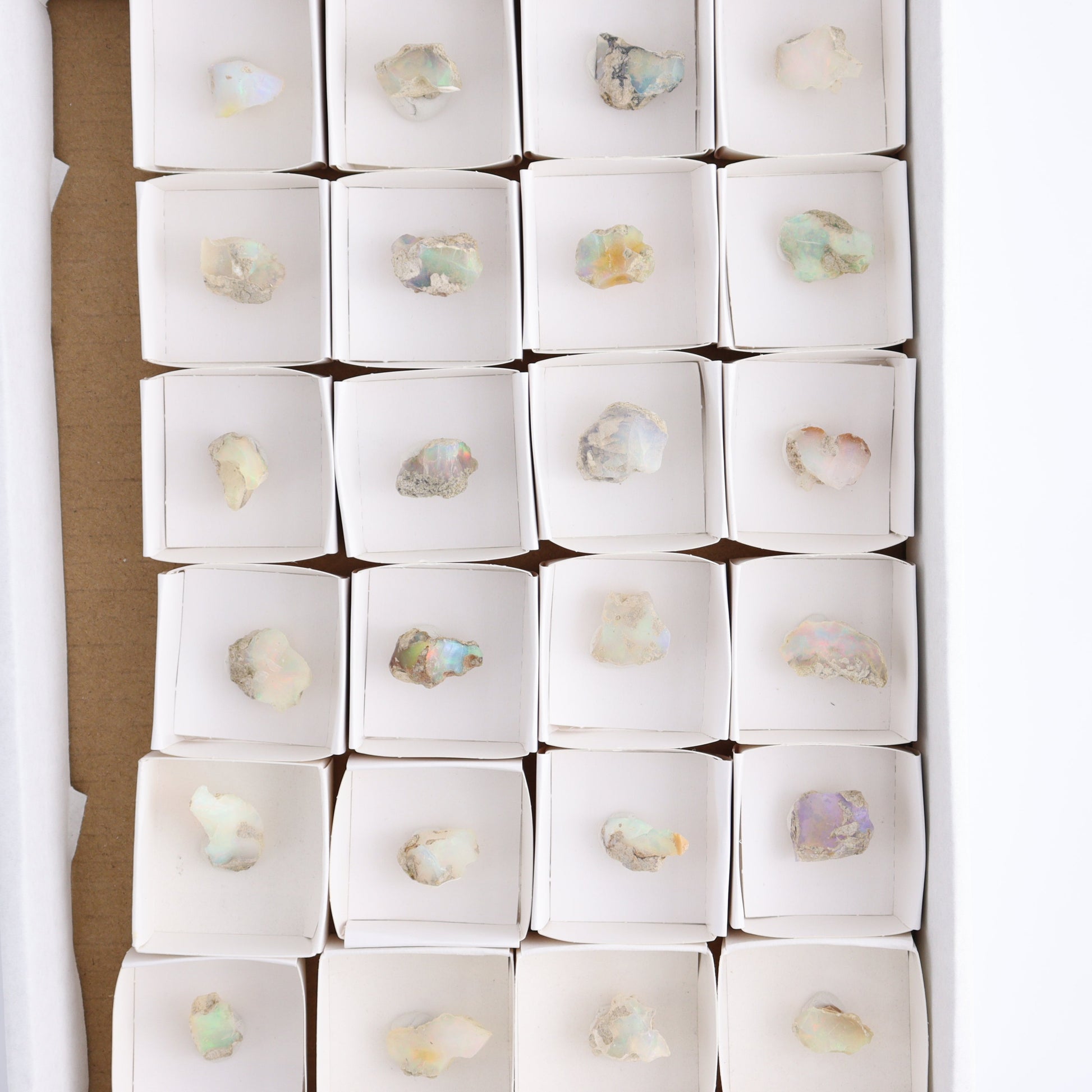 Ethiopian Opal Set of 24 - Expert Wholesale and Supplier of Wholesale Crystals & Bulk Gemstones, ["Ethiopia","ethiopian opal","Opal"]