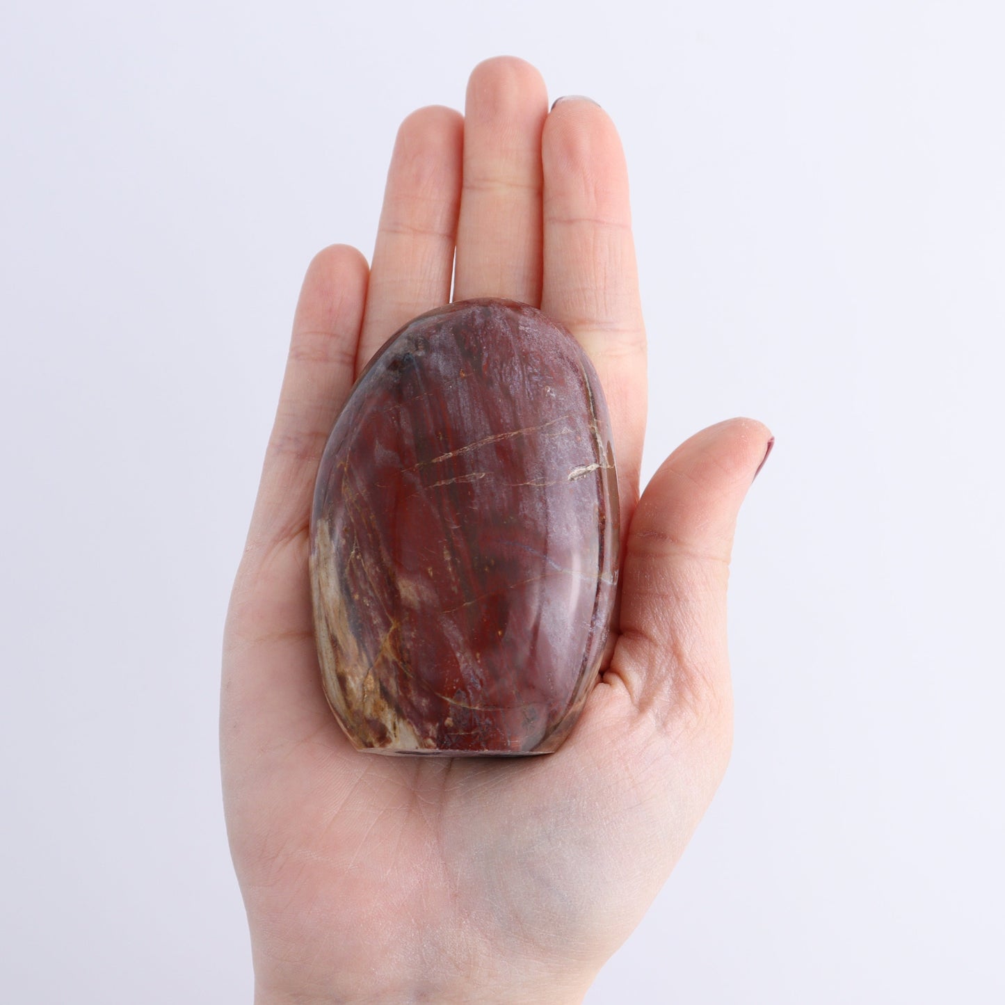 Petrified Wood Freeforms Set of 6 - Expert Wholesale and Supplier of Wholesale Crystals & Bulk Gemstones, ["Freeform","Freeforms","Madagascar","Petrified Wood"]
