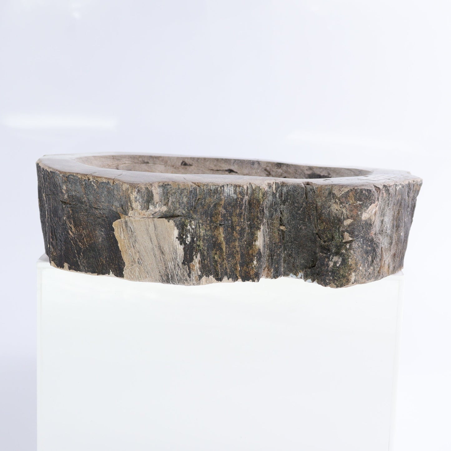 Petrified Wood Bowls Set of 2