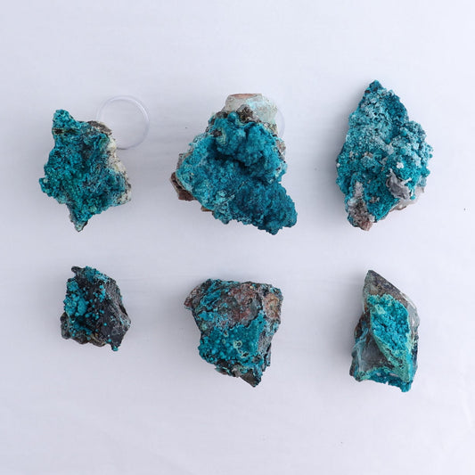 Chrysocolla on Quartz Roughs Set of 6