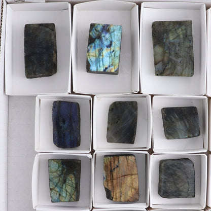 Labradorite Freeform Set of 21