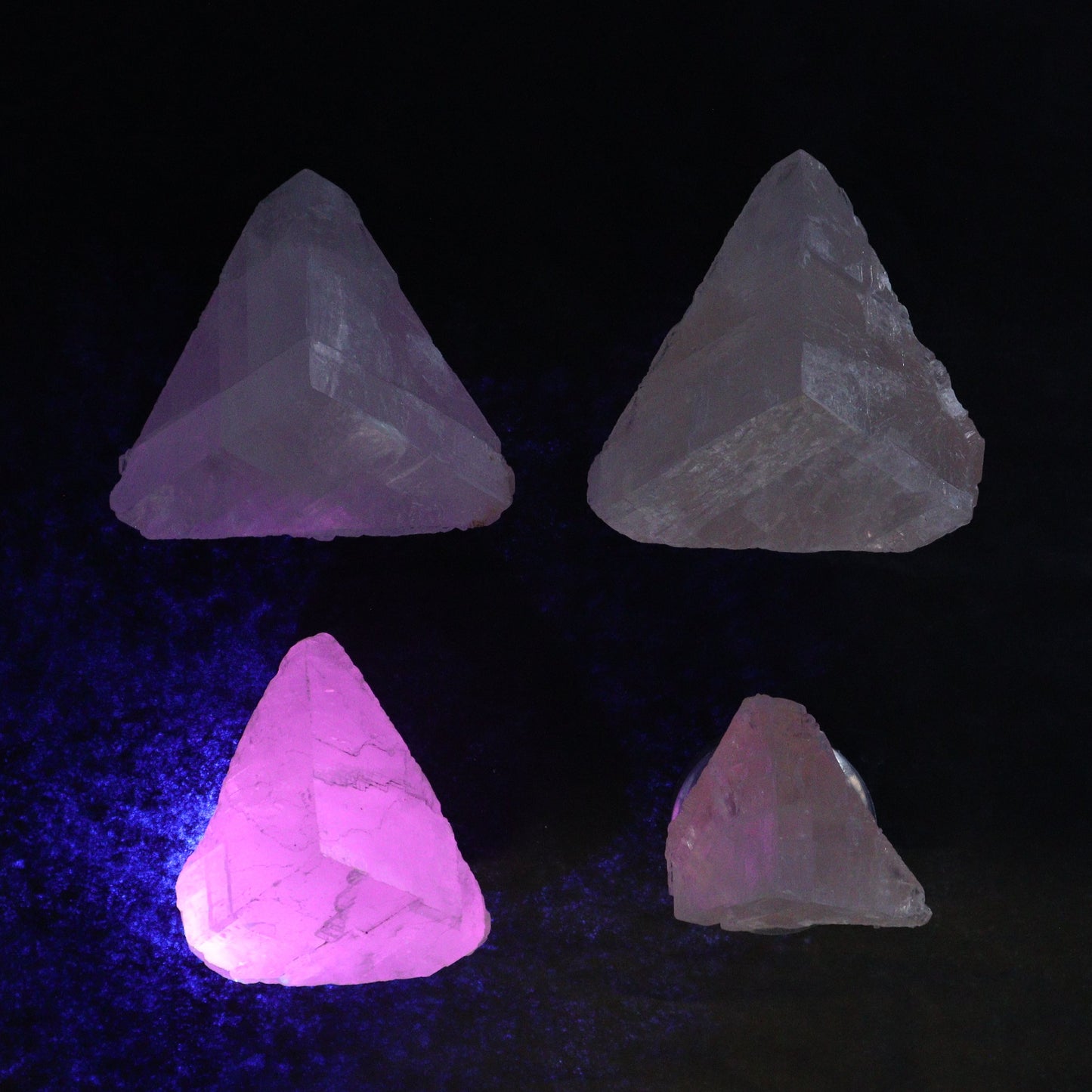 Pink Optical Calcite (Fluorescent) Set of 12 - Expert Wholesale and Supplier of Wholesale Crystals & Bulk Gemstones, ["Calcite","Mexico","Optical Calcite"]