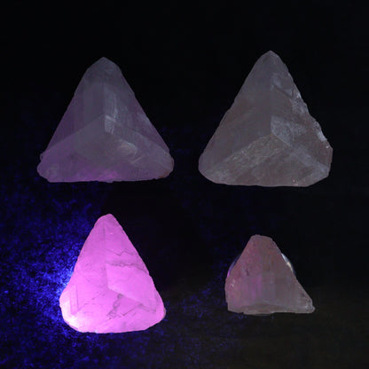 Pink Optical Calcite (Fluorescent) Set of 12 - Expert Wholesale and Supplier of Wholesale Crystals & Bulk Gemstones, ["Calcite","Mexico","Optical Calcite"]