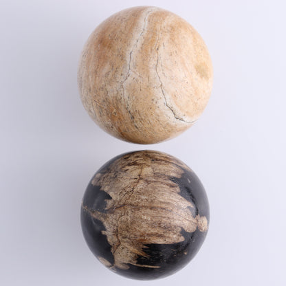Petrified Wood Spheres Set of 4 - Expert Wholesale and Supplier of Wholesale Crystals & Bulk Gemstones, ["Indonesia","Petrified Wood","Spheres"]
