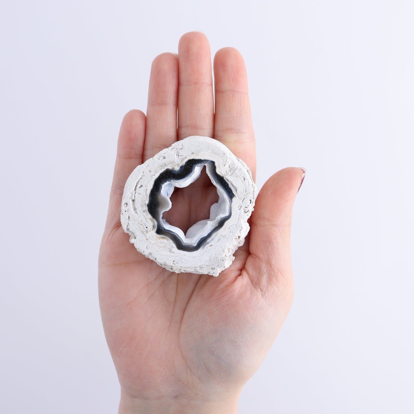 Agatized Coral Flat - Expert Wholesale and Supplier of Wholesale Crystals & Bulk Gemstones, ["Agate","Agatized Coral","Coral","United States"]
