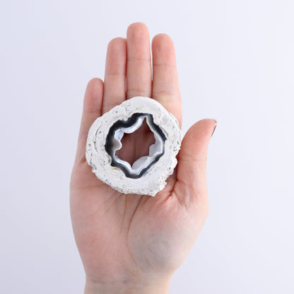 Agatized Coral Flat - Expert Wholesale and Supplier of Wholesale Crystals & Bulk Gemstones, ["Agate","Agatized Coral","Coral","United States"]