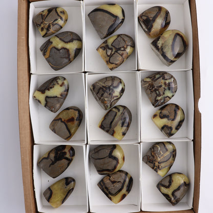 Septarian Freeforms Set of 18 - Expert Wholesale and Supplier of Wholesale Crystals & Bulk Gemstones, ["Flats","Freeforms","Madagascar","Septarian"]