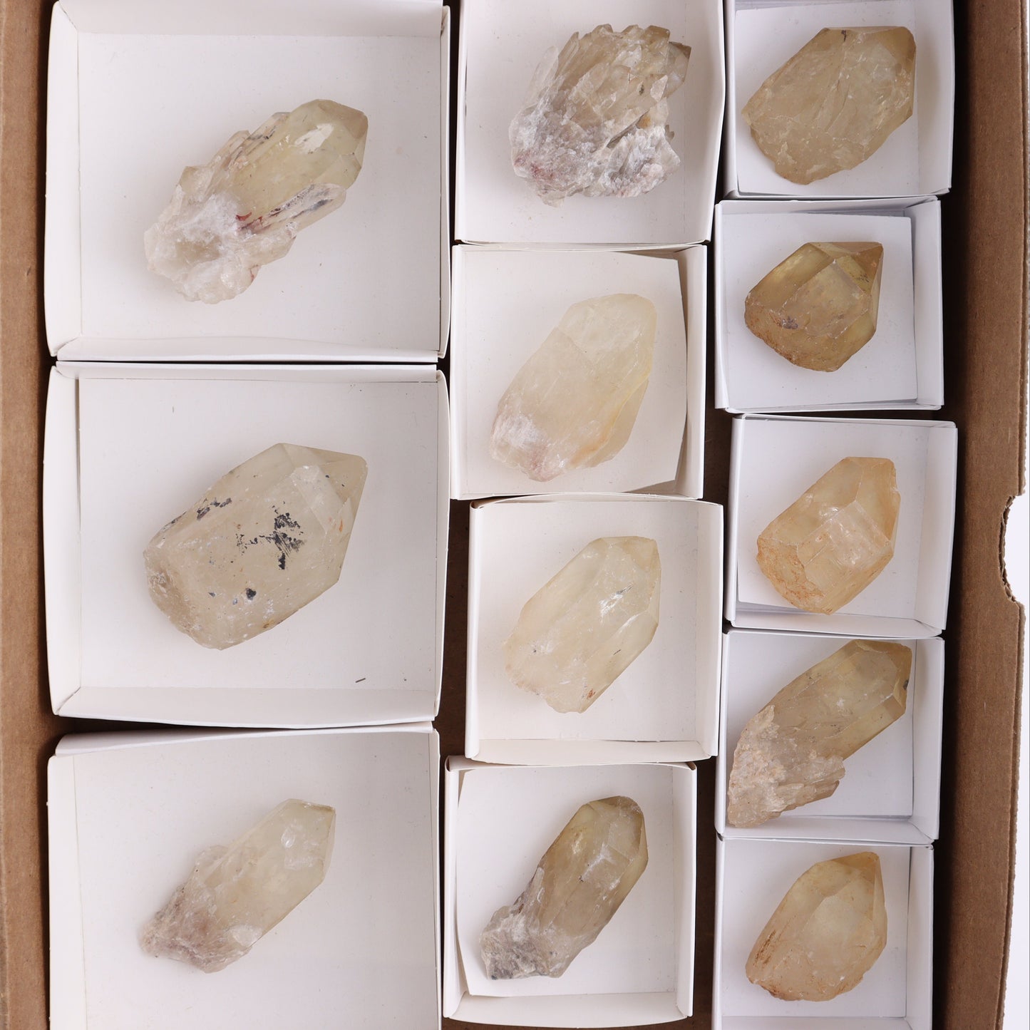 Congo Citrine Set of 12 - Expert Wholesale and Supplier of Wholesale Crystals & Bulk Gemstones, ["Citrine","Congo","Rough","Roughs"]