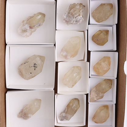 Congo Citrine Set of 12 - Expert Wholesale and Supplier of Wholesale Crystals & Bulk Gemstones, ["Citrine","Congo","Rough","Roughs"]