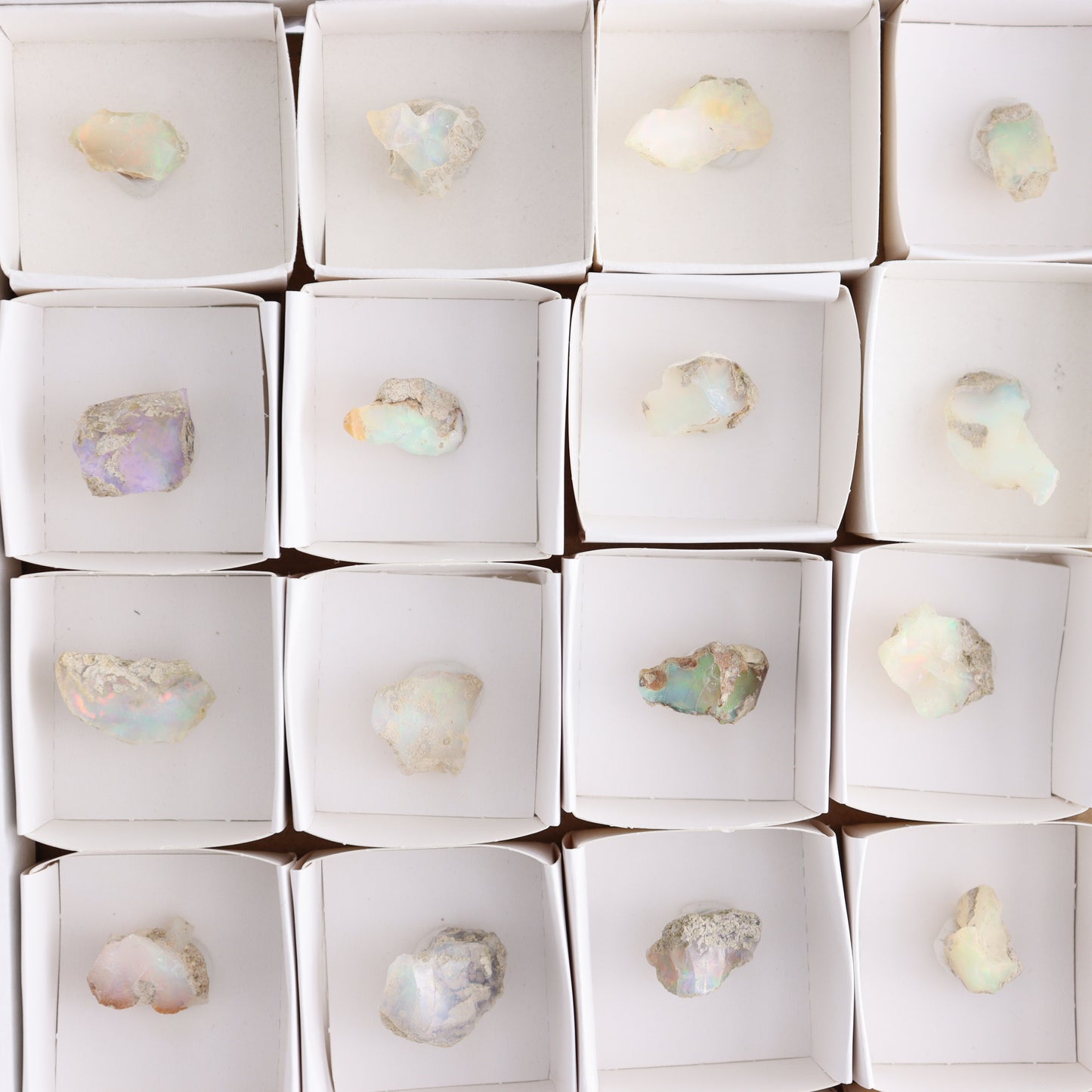 Ethiopian Opal Set of 24 - Expert Wholesale and Supplier of Wholesale Crystals & Bulk Gemstones, ["Ethiopia","ethiopian opal","Opal"]