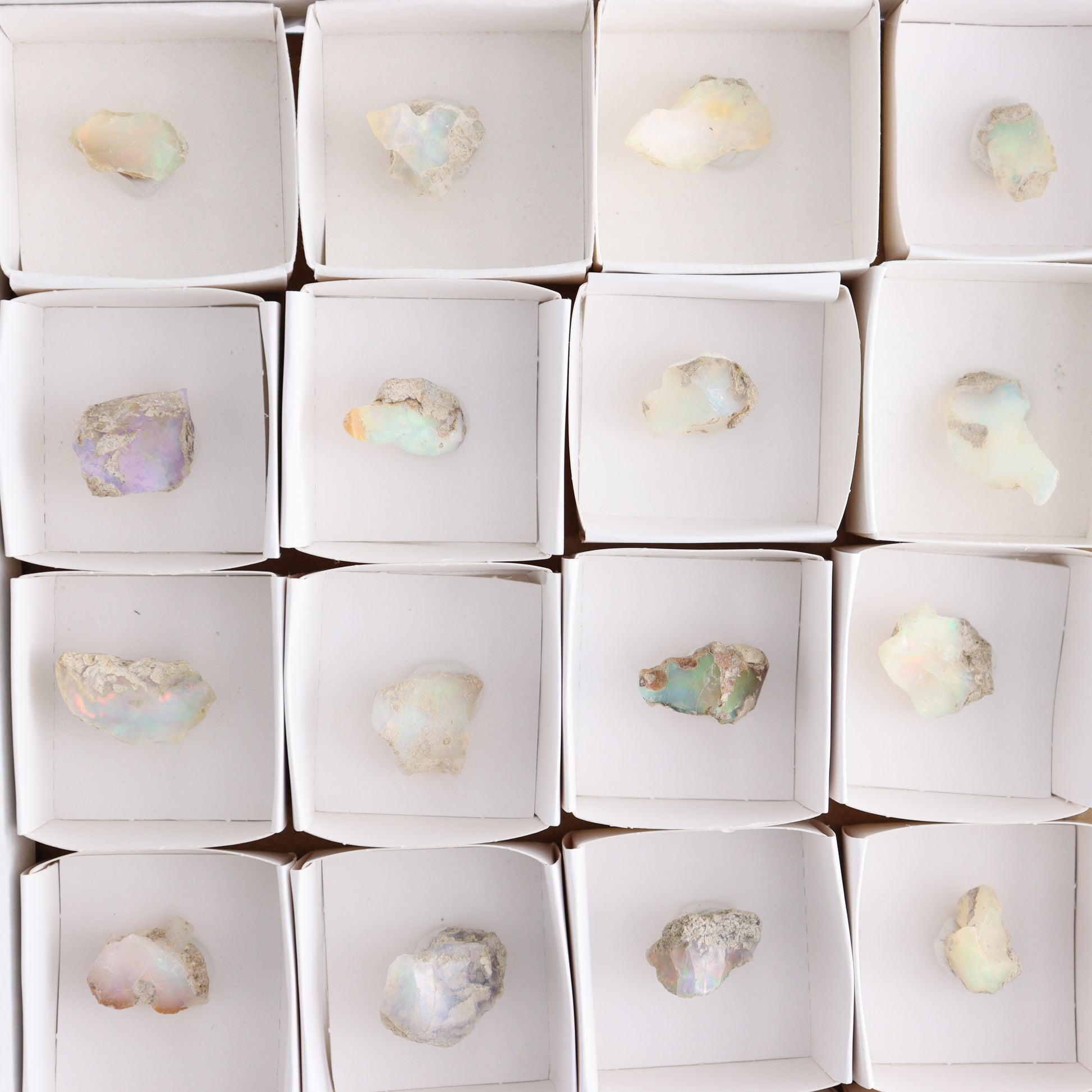 Ethiopian Opal Set of 24 - Expert Wholesale and Supplier of Wholesale Crystals & Bulk Gemstones, ["Ethiopia","ethiopian opal","Opal"]