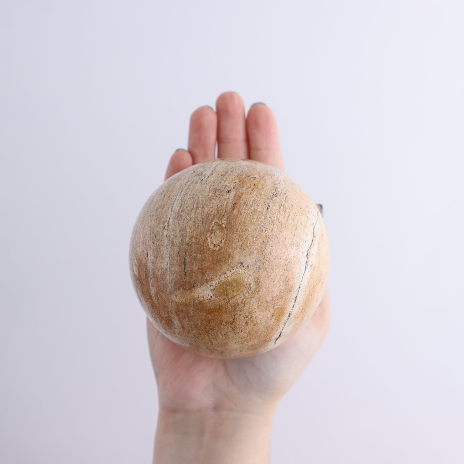 Petrified Wood Spheres Set of 4 - Expert Wholesale and Supplier of Wholesale Crystals & Bulk Gemstones, ["Indonesia","Petrified Wood","Spheres"]
