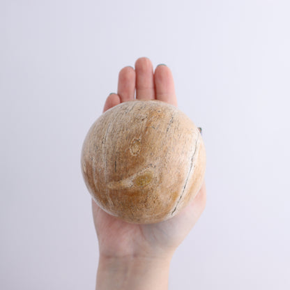Petrified Wood Spheres Set of 4 - Expert Wholesale and Supplier of Wholesale Crystals & Bulk Gemstones, ["Indonesia","Petrified Wood","Spheres"]