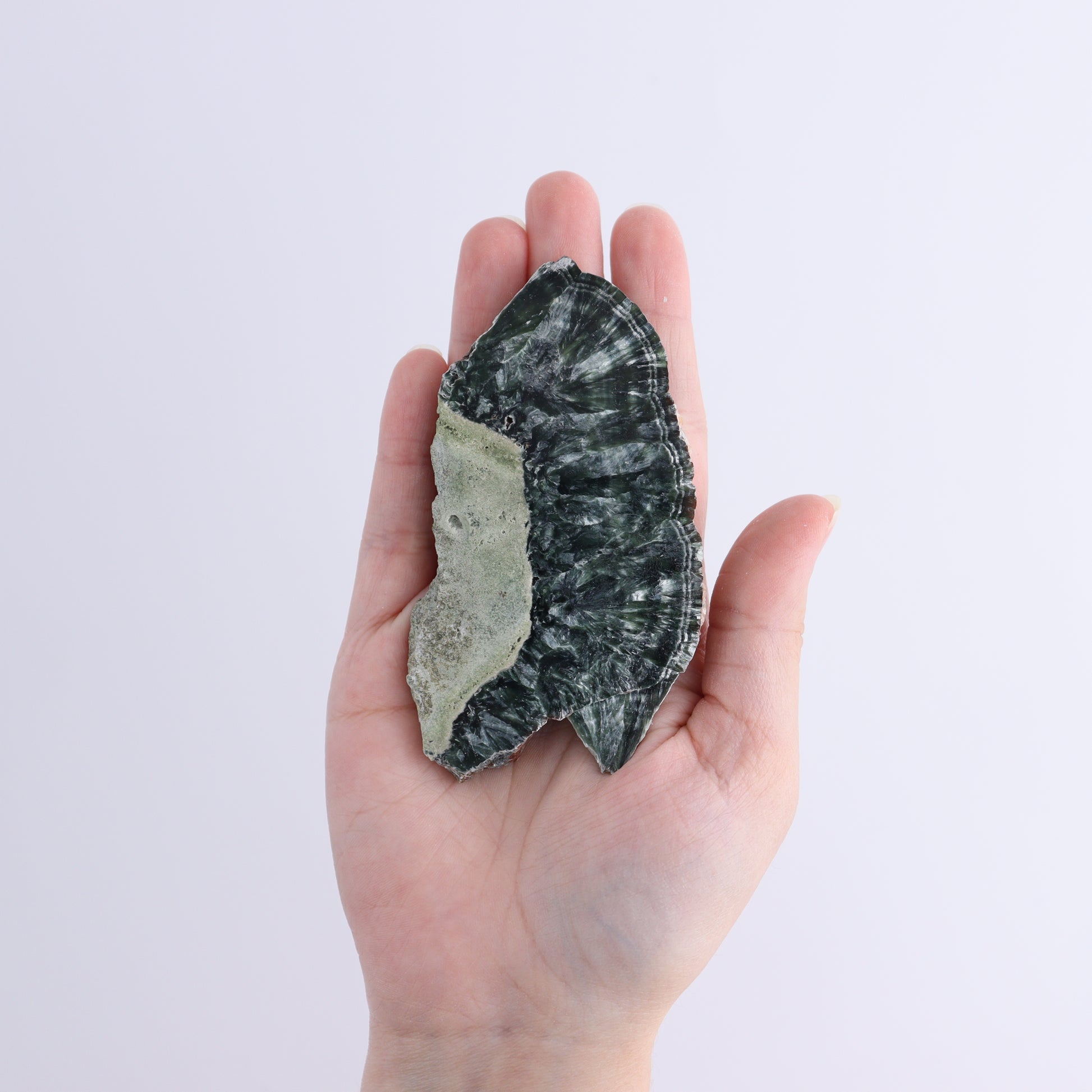 Seraphinite Slices Set of 6 - Expert Wholesale and Supplier of Wholesale Crystals & Bulk Gemstones, ["Seraphinite","Slices and Slabs"]