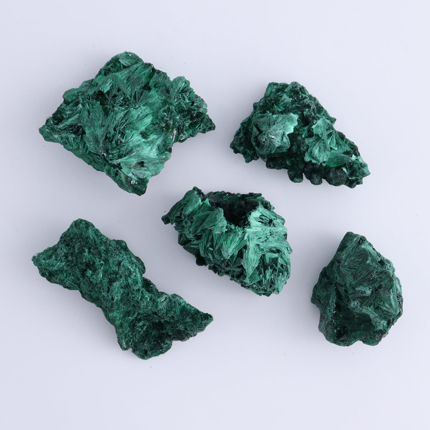 Malachite Freeforms Set of 20 - Expert Wholesale and Supplier of Wholesale Crystals & Bulk Gemstones, ["Freeform","Malachite","South Africa"]