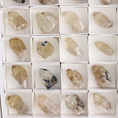 Congo Citrine Set of 24