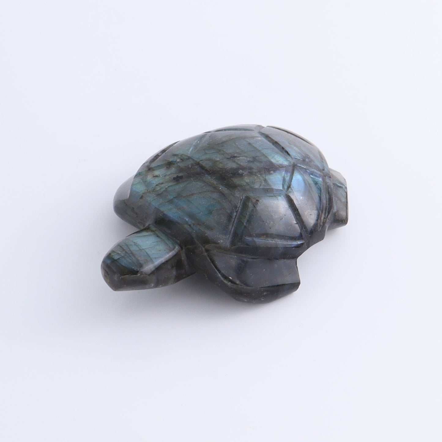 Labradorite Turtles Set of 5