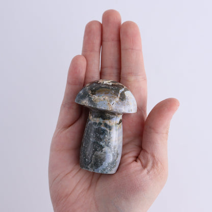 Ocean Jasper Mushrooms Set of 7 - Expert Wholesale and Supplier of Wholesale Crystals & Bulk Gemstones, ["jasper","Madagascar","Mushrooms","Ocean Jasper"]