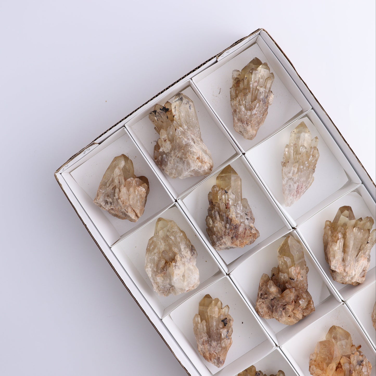 Congo Citrine Set of 12