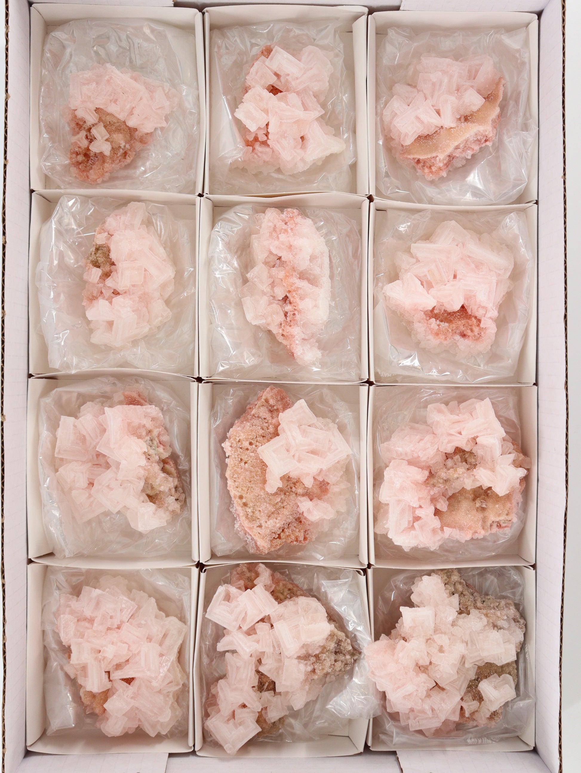 Halite Flat Set of 12 - Expert Supplier of Wholesale Crystals & Bulk Gemstones