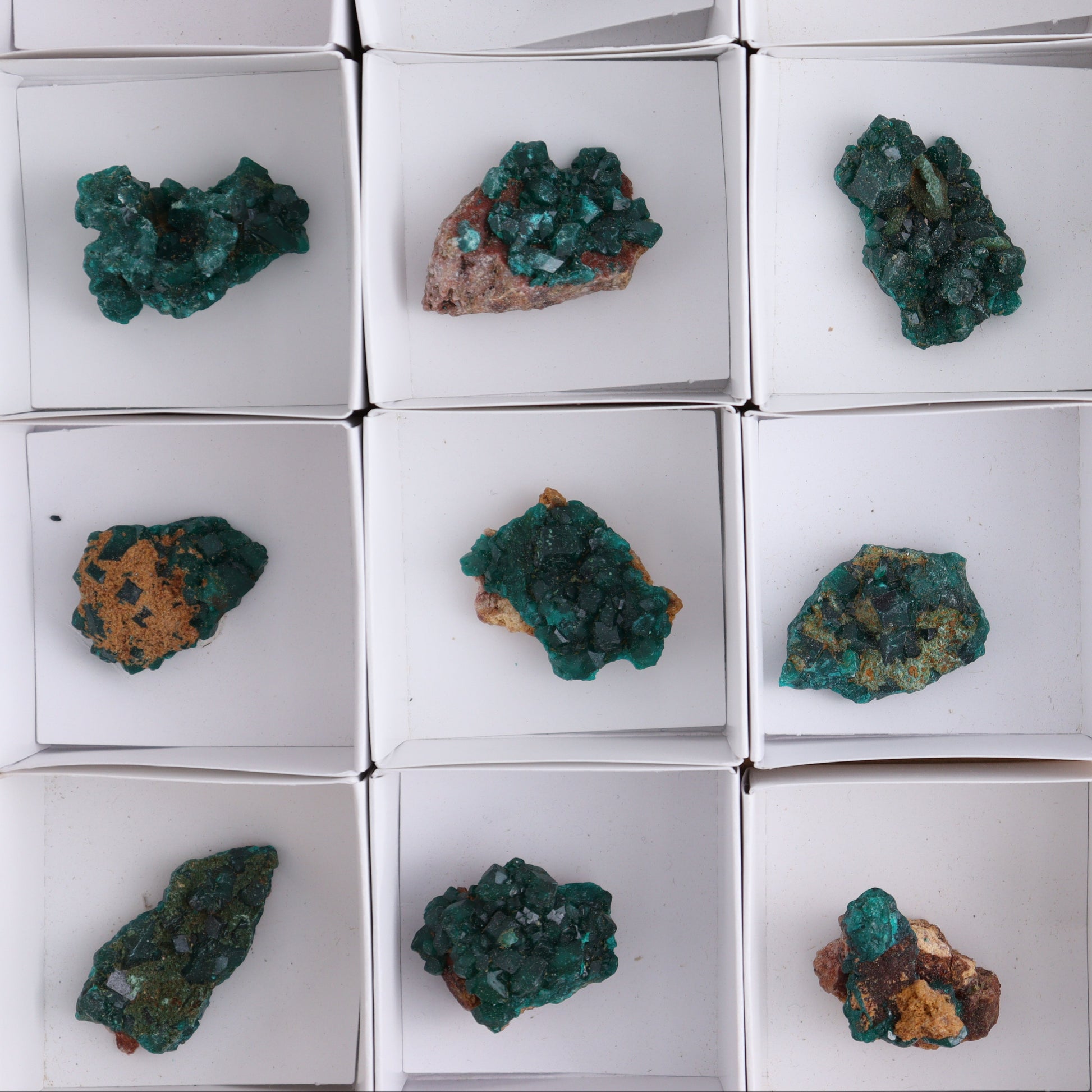 Dioptase Set of 15 - Expert Wholesale and Supplier of Wholesale Crystals & Bulk Gemstones, ["dioptase","Freeform","Freeforms"]