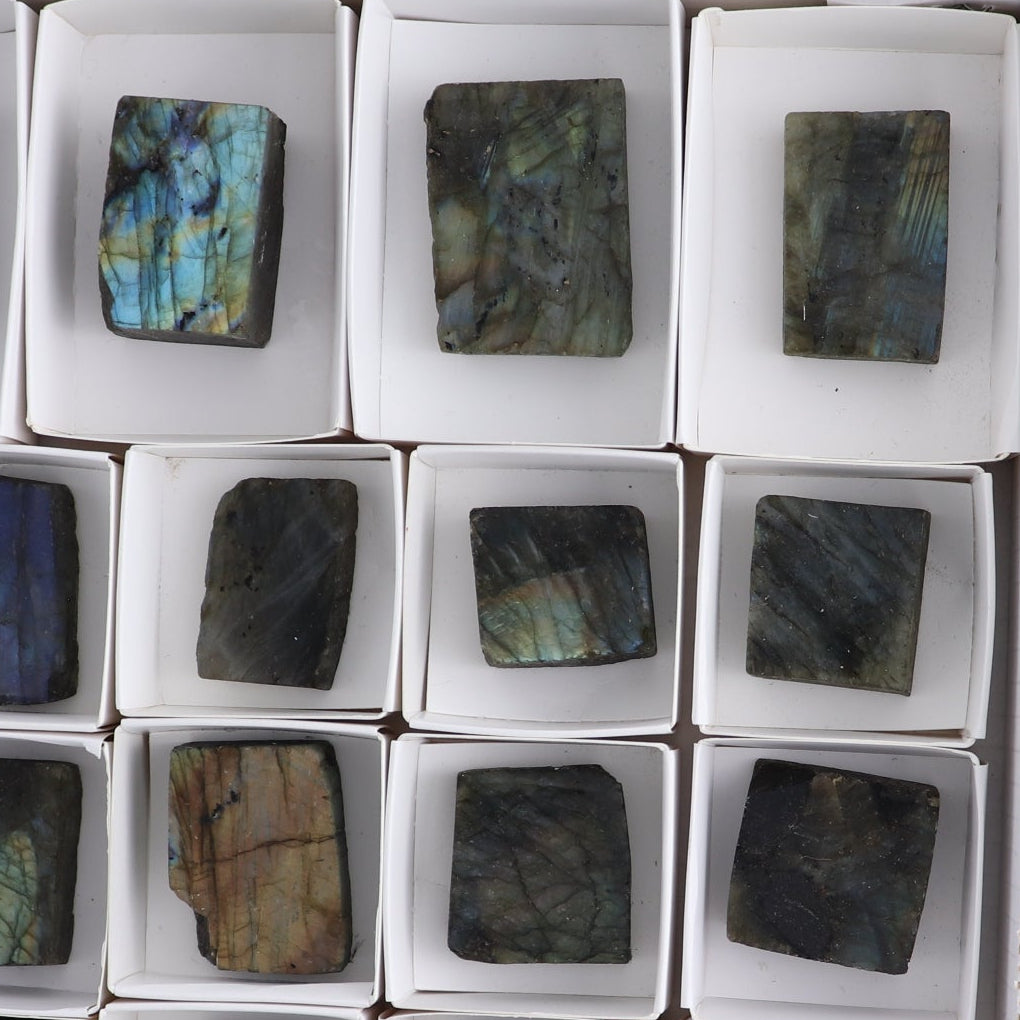 Labradorite Freeform Set of 21