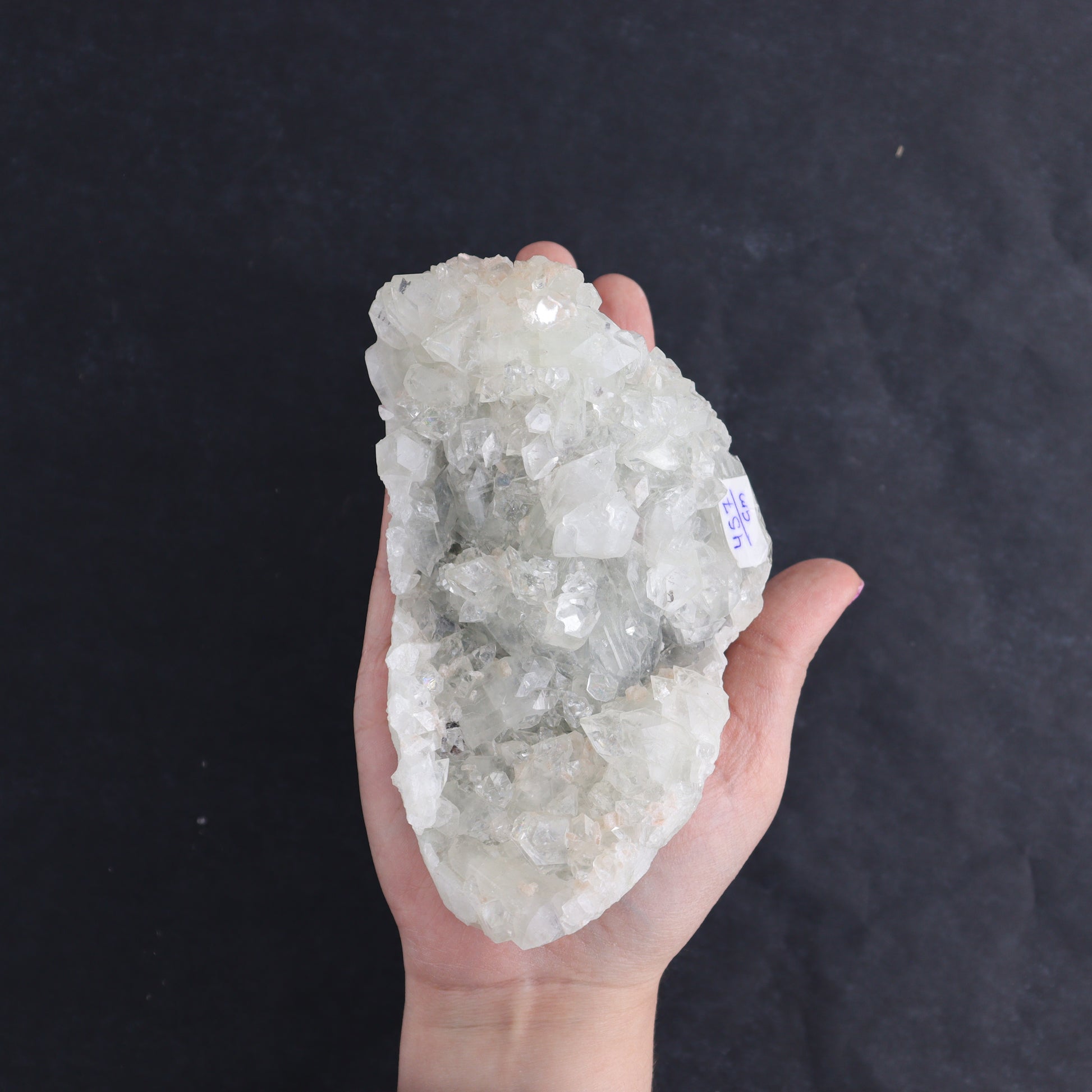 Apophyllite Clusters Set of 6 - Expert Wholesale and Supplier of Wholesale Crystals & Bulk Gemstones, ["Apophyllite","close_50","Clusters","Flats"]