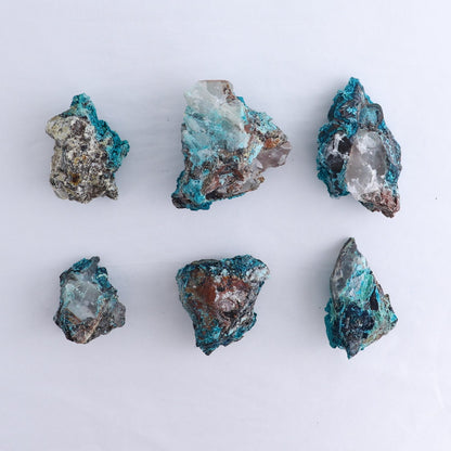 Chrysocolla on Quartz Roughs Set of 6