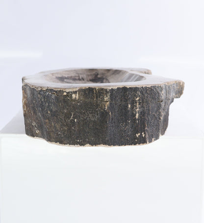 Petrified Wood Bowls Set of 2