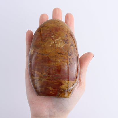 Petrified Wood Freeforms Set of 6 - Expert Wholesale and Supplier of Wholesale Crystals & Bulk Gemstones, ["Freeform","Freeforms","Madagascar","Petrified Wood"]