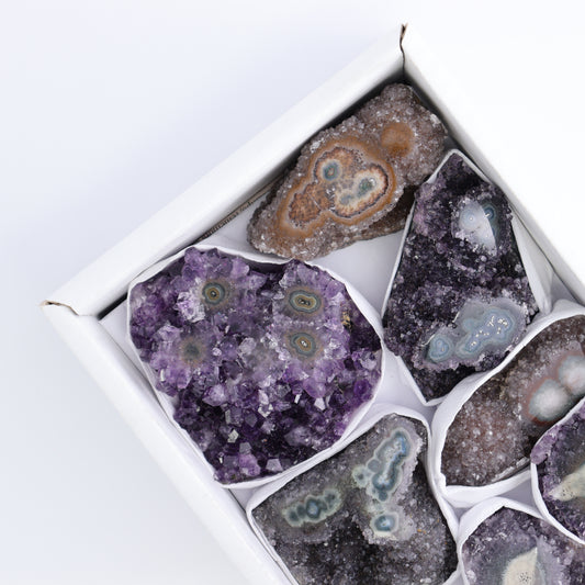 Uruguay Amethyst Clusters with "Eyes" Flat of 10 - Expert Wholesale and Supplier of Wholesale Crystals & Bulk Gemstones, ["Amethyst","Amethyst Eyes","Clusters","Uruguay"]
