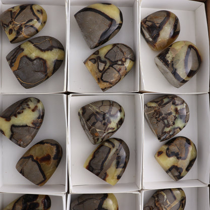 Septarian Freeforms Set of 18 - Expert Wholesale and Supplier of Wholesale Crystals & Bulk Gemstones, ["Flats","Freeforms","Madagascar","Septarian"]
